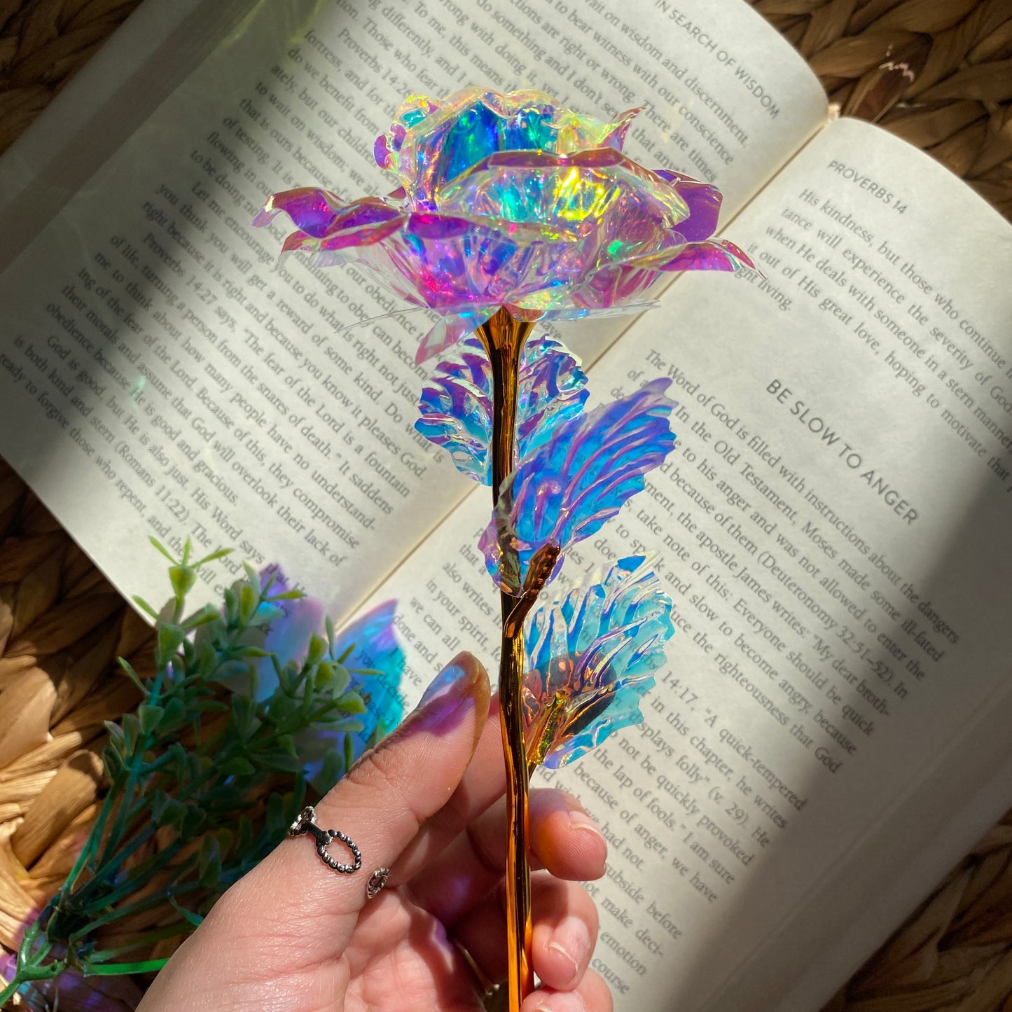 Iridescent Eternal Roses